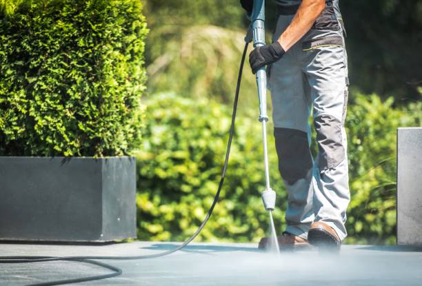 Best Boat and Dock Cleaning  in Alturas, FL